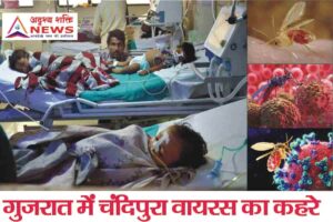gujrat गुजरात में चंदिपुरा वायरस ने ली 6 बच्चों की जान