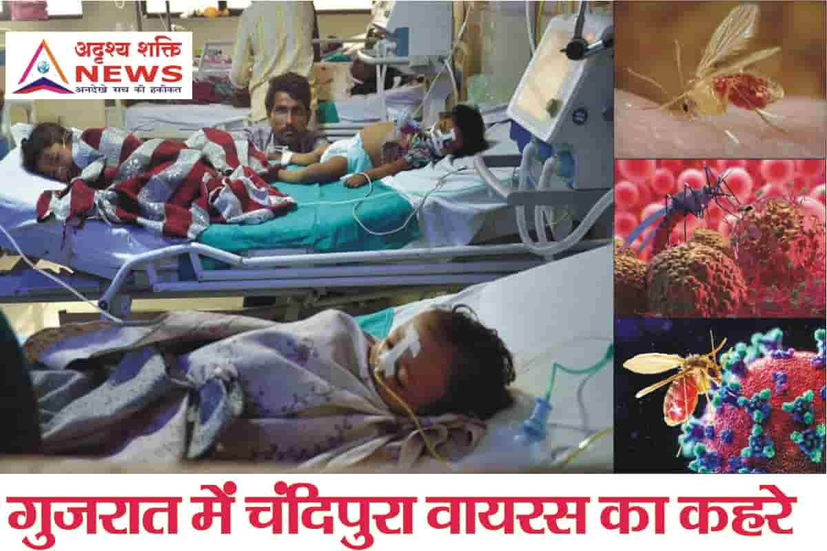 गुजरात में चंदिपुरा वायरस ने ली 6 बच्चों की जान