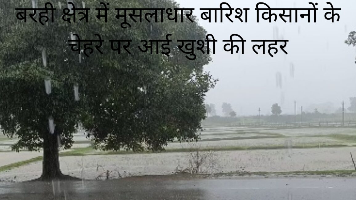 1000613899 लगातार हो रही बारिश से किसानो के चेहरे पर आई खुशी के लहर