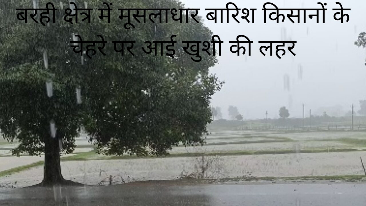 1000613899 लगातार हो रही बारिश से किसानो के चेहरे पर आई खुशी के लहर