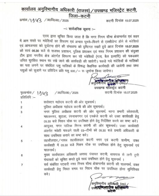 1000649425 नगर निगम कटनी सहित रीठी एवं बडवारा में आज होगी आवारा पशुओं को पकड़ने की कार्यवाही