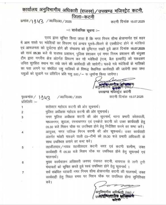 1000649425 नगर निगम कटनी सहित रीठी एवं बडवारा में आज होगी आवारा पशुओं को पकड़ने की कार्यवाही