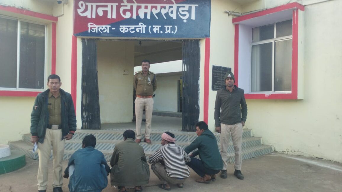 1001184842 होम