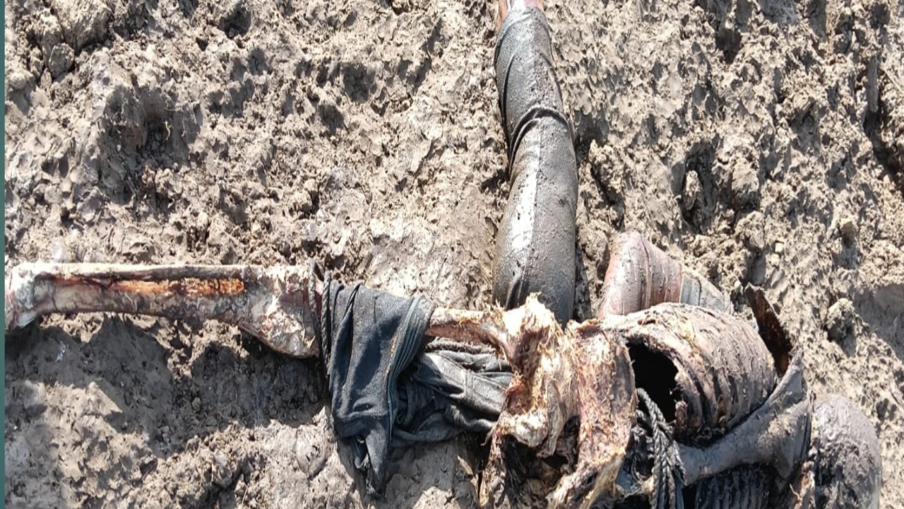 1001468837 आज दिनांक 17/03/2026 को मैहर रोड महानदी पुल ग्राम कुंदरी मै एक अज्ञात पुरुष नर कंकाल उम्र लगभग 35 से 45 वर्ष के बीच का शव कुंदरी महानदी में मिला