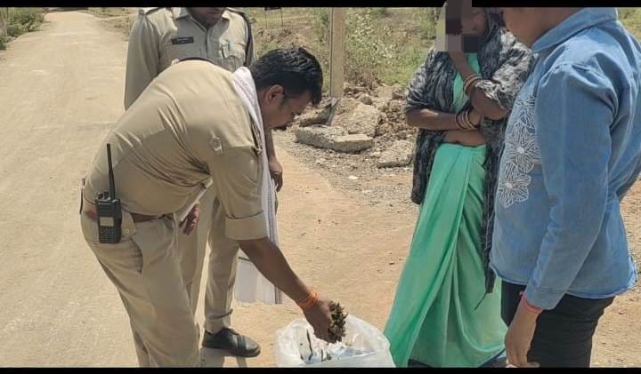 1001565878 अवैध मादक पदार्थ के विरूद्ध कटनी पुलिस की बड़ी कार्यवाही