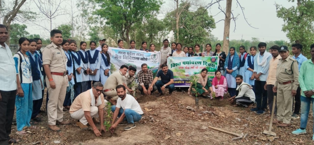 1001700800 शासकीय महाविद्यालय बरही में मनाया गया विश्व पर्यावरण दिवस